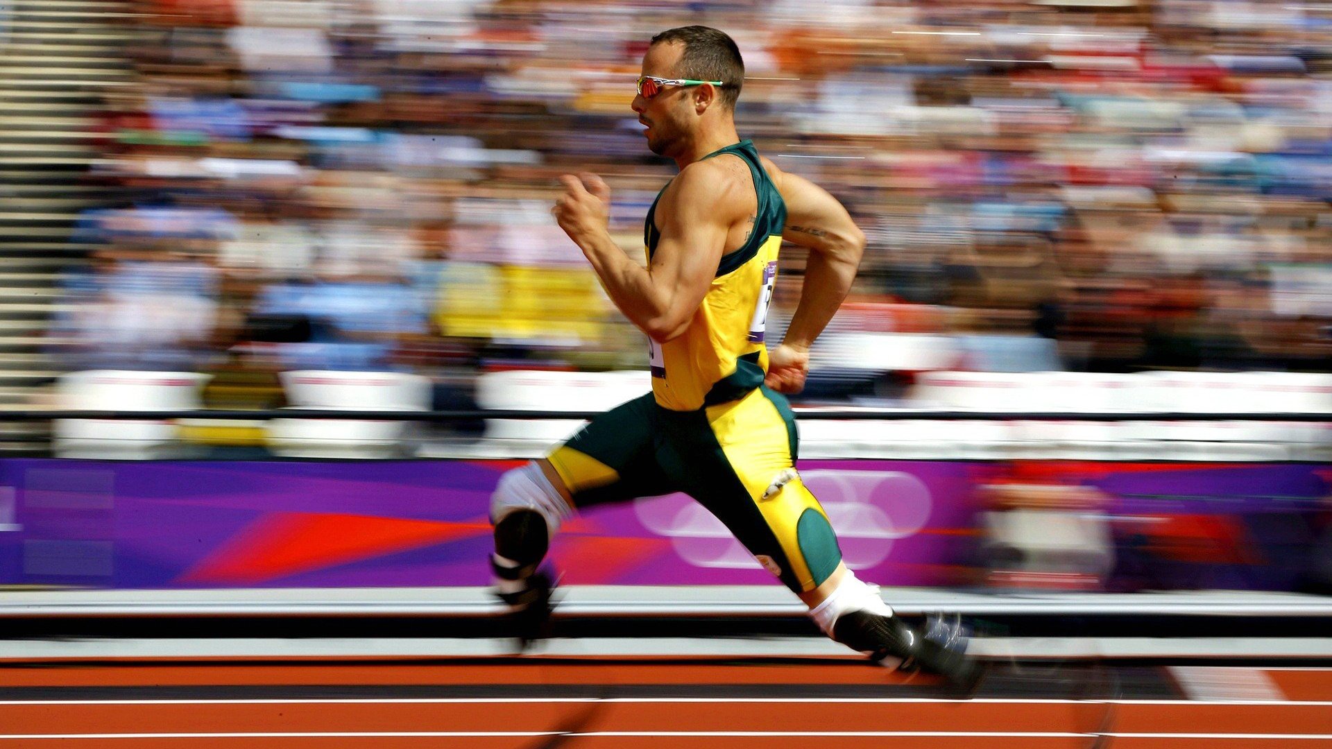 体育新闻中心推动智慧体育场馆数字内容升级，体育场馆数字化